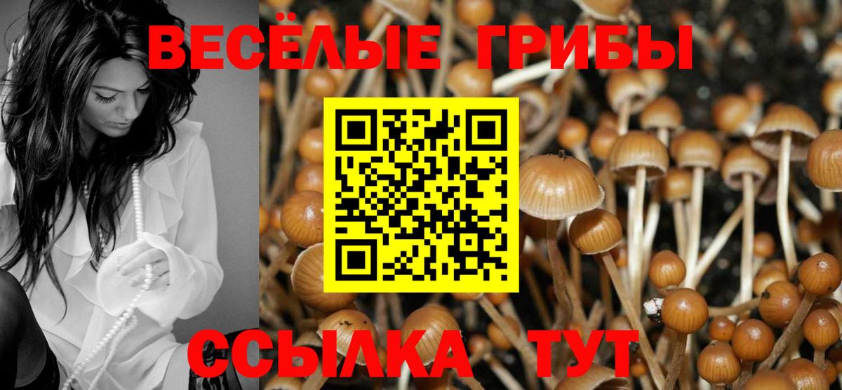 Усть-Илимск  Галлюциногенные грибы мицелий  что такое наркотик  Псилоцибиновые грибы прущие грибы  Вход с VPN 